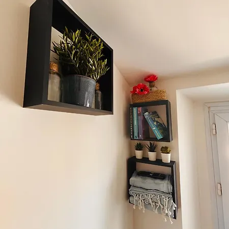 Apartment Coin D'amour Gambetta Nizza